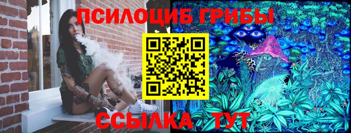 Галлюциногенные грибы Psilocybine cubensis  Вход с VPN  Зеленодольск 
