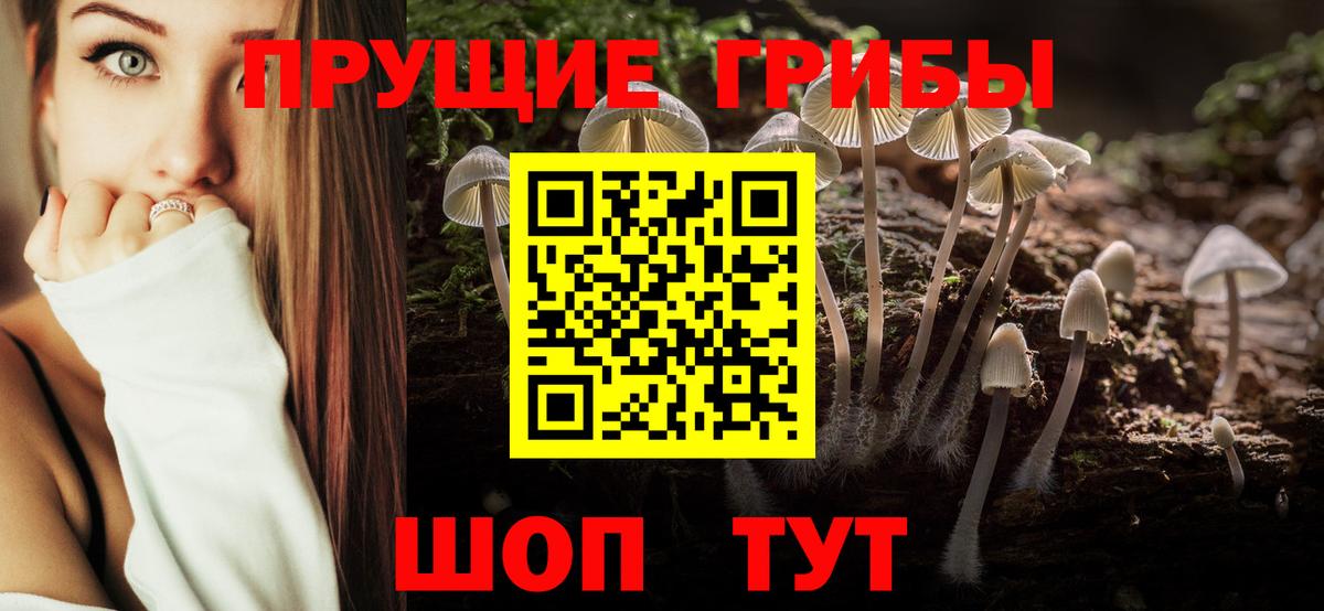 Псилоцибиновые грибы ЛСД Зеленодольск